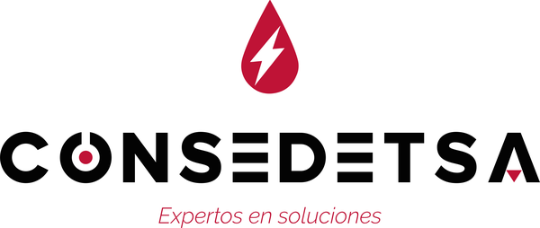 CONSEDETSA